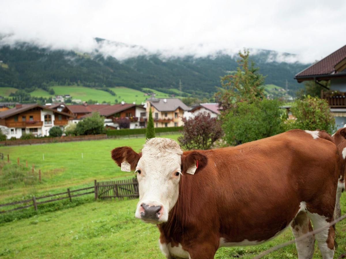 Apartment In Altenmarkt In Pongau Near Ski Area アルテンマルクト・イム・ポンガウ 部屋 写真